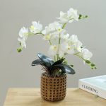 Orchidées synthétiques, choix idéal pour la maison