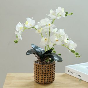 Orchidées synthétiques, choix idéal pour la maison