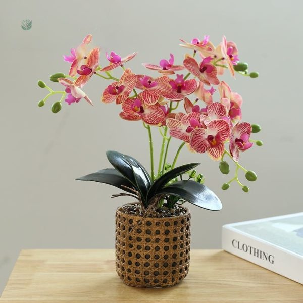 Arrangement d'orchidées artificielles, touche naturelle décorative