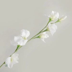 Arrangement de Pois de Senteur pour décoration intérieure