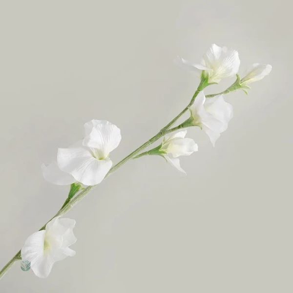 Arrangement de Pois de Senteur pour décoration intérieure