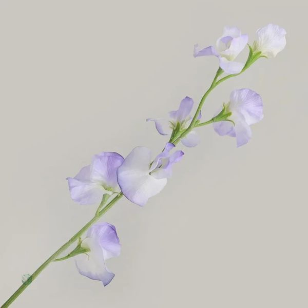 Pois de Senteur en tissu, touche naturelle et colorée
