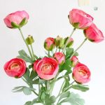 Renoncules artificielles pour embellir votre espace