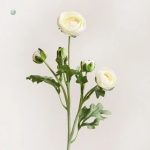 Bouquet de renoncules artificielles réalistes