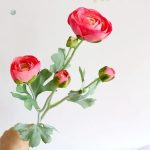 Composition florale avec renoncules et feuillage