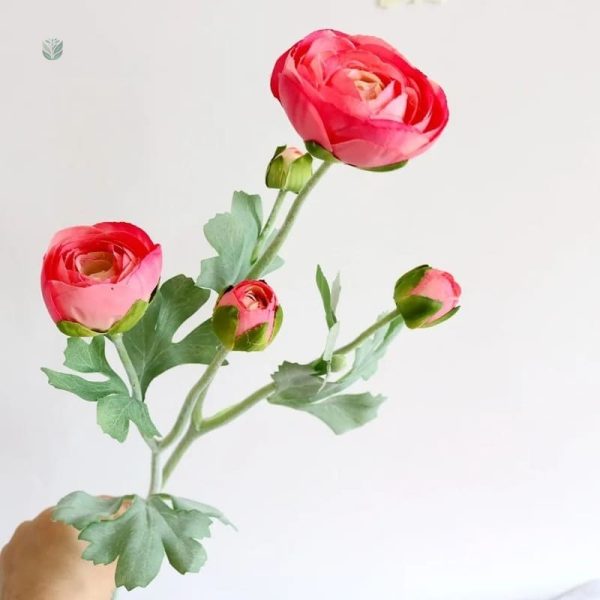 Composition florale avec renoncules et feuillage