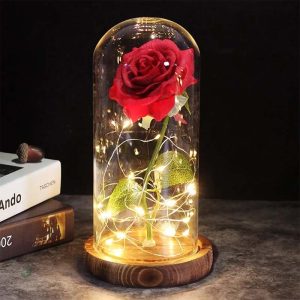 Rose Éternelle, fleur intemporelle et élégante