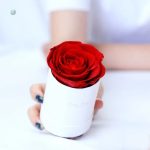 Fleurs éternelles économiques pour décoration intemporelle