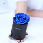 Rose éternelle pas chère, un symbole d'amour durable