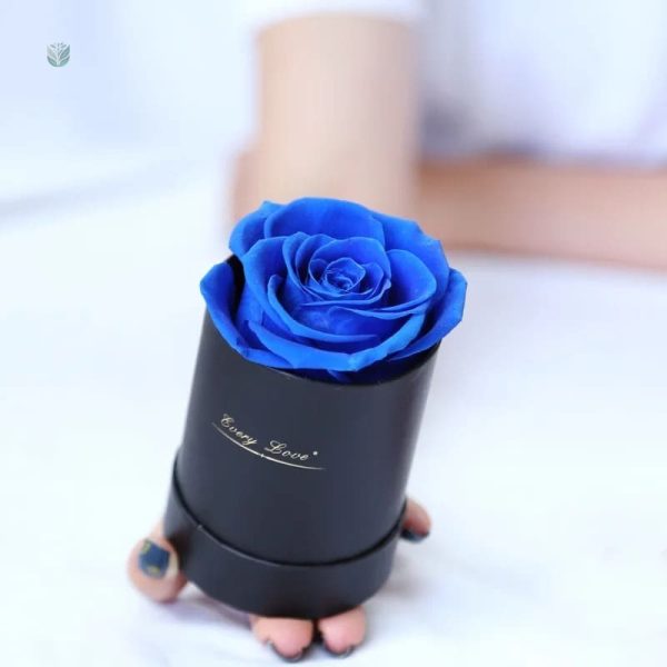 Rose éternelle pas chère, un symbole d'amour durable