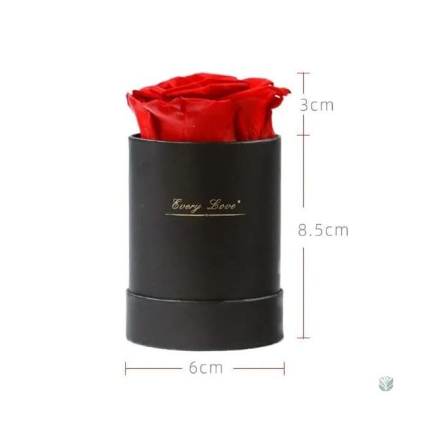 Élégante rose éternelle à prix réduit pour un cadeau spécial
