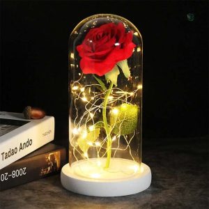 Rose Éternelle sous cloche, symbole d'amour durable