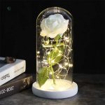 Rose éternelle sous cloche, embellissement intemporel