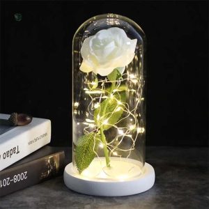 Rose éternelle sous cloche, embellissement intemporel