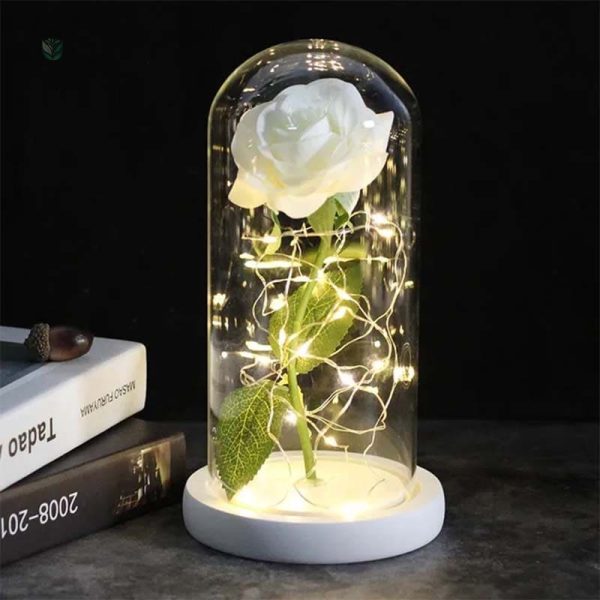 Rose éternelle sous cloche, embellissement intemporel