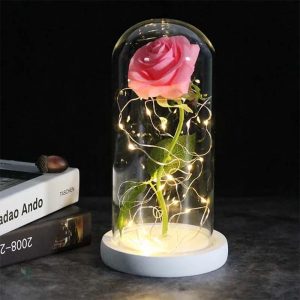Fleur préservée sous cloche, un cadeau inoubliable