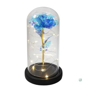 Rose Galaxy sous cloche, une rose éternelle élégante