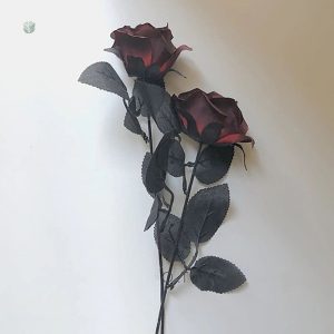 Bouquet de roses gothiques pour un décor original