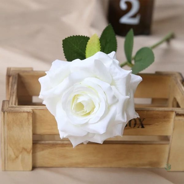 Rose pas cher pour cadeaux et surprises