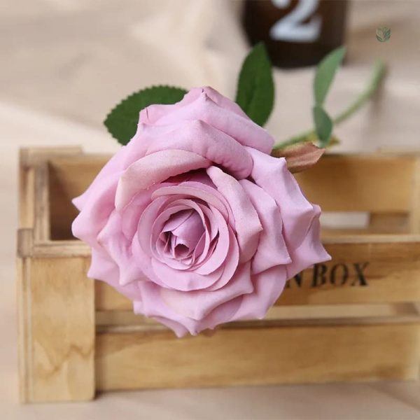 Rose pas cher pour arrangements floraux