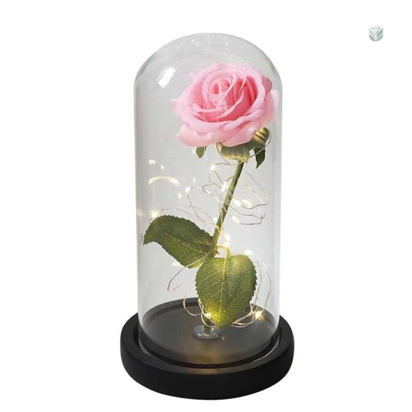 Rose éternelle sous cloche décorative