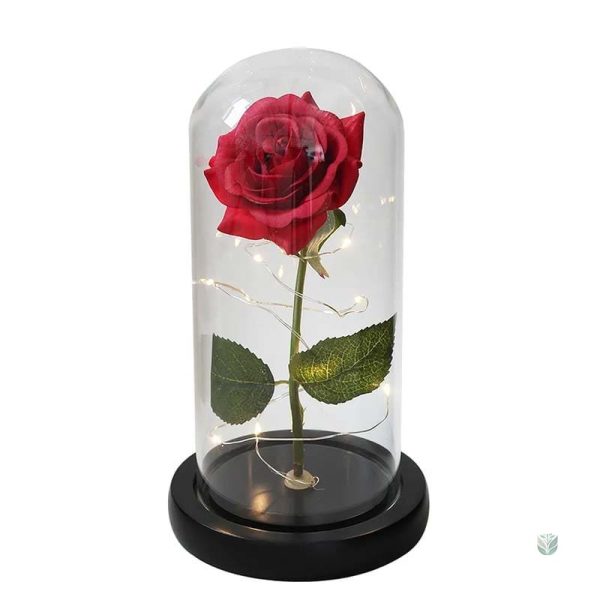 Rose sous cloche pour un cadeau intemporel