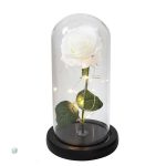 Élégante rose préservée sous verre