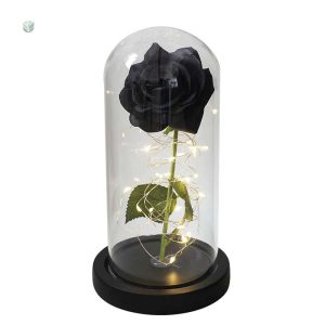 Rose éternelle dans une cloche raffinée