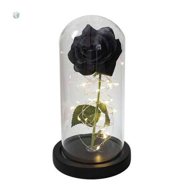 Rose éternelle dans une cloche raffinée