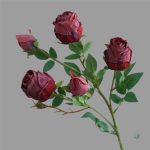 Rose vintage pour décoration intérieure