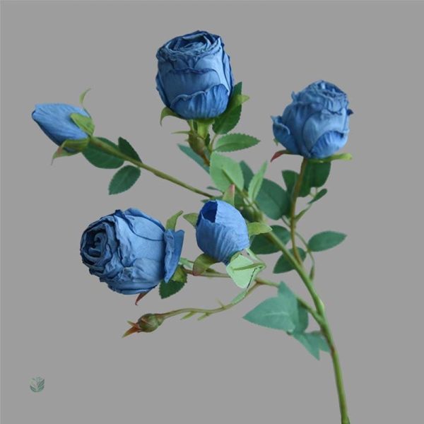 Roses vintage pour arrangements floraux