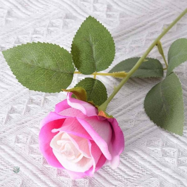Roses en velours, choix durable pour la maison