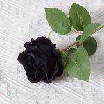 Roses velours pour décoration intérieure