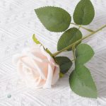 Roses en velours pour occasions spéciales