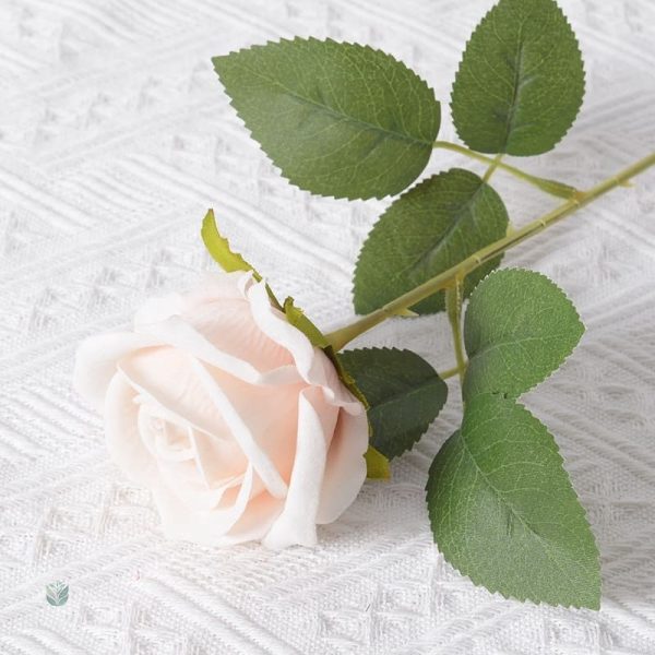 Roses en velours pour occasions spéciales