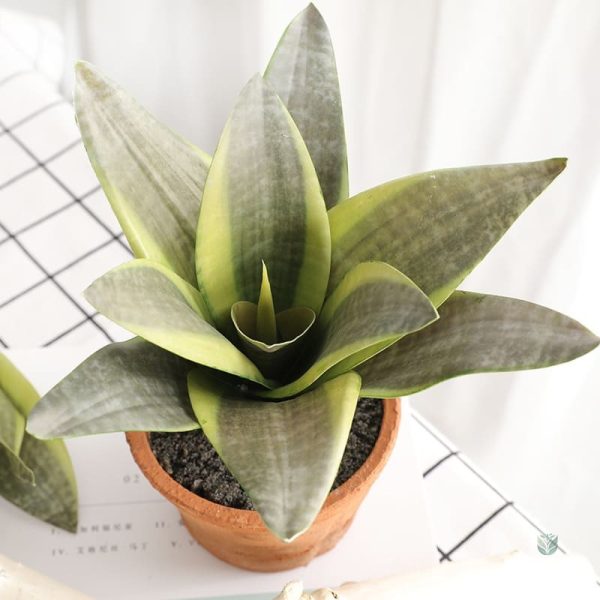 Plante Sansevieria artificielle en pot