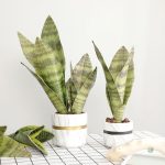 Sansevieria Trifasciata verte artificielle décorative