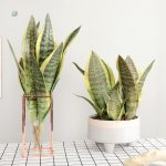 Plante verte artificielle Sansevieria Trifasciata