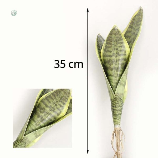 Sansevieria Trifasciata en pot, décoration élégante