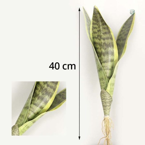 Plante d'intérieur Sansevieria Trifasciata réaliste