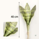 Sansevieria Trifasciata, feuillage stylisé et durable