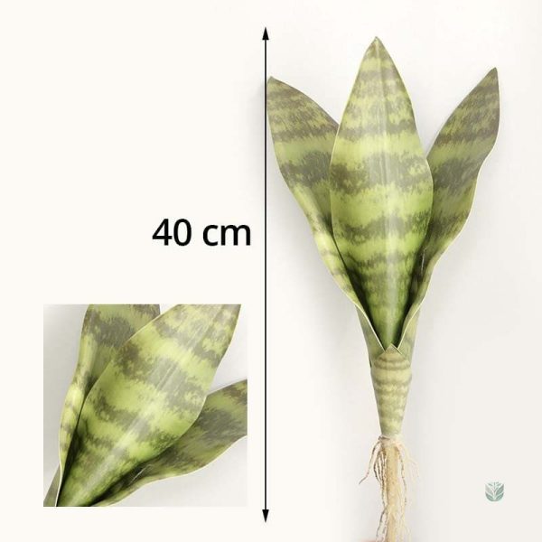 Sansevieria Trifasciata, feuillage stylisé et durable