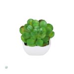 Succulentes artificielles décoratives pour intérieur