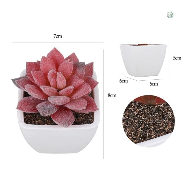 Décoration intérieure avec succulentes en plastique