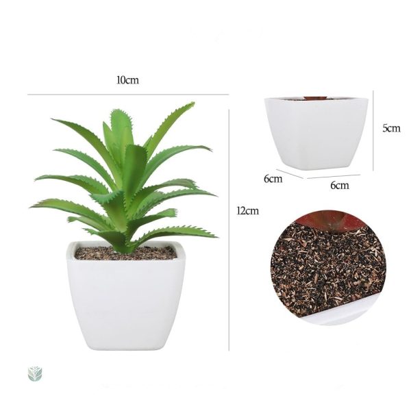 Plantes en plastique, parfaites pour tous les espaces