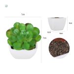 Plantes succulentes en plastique, aspect naturel