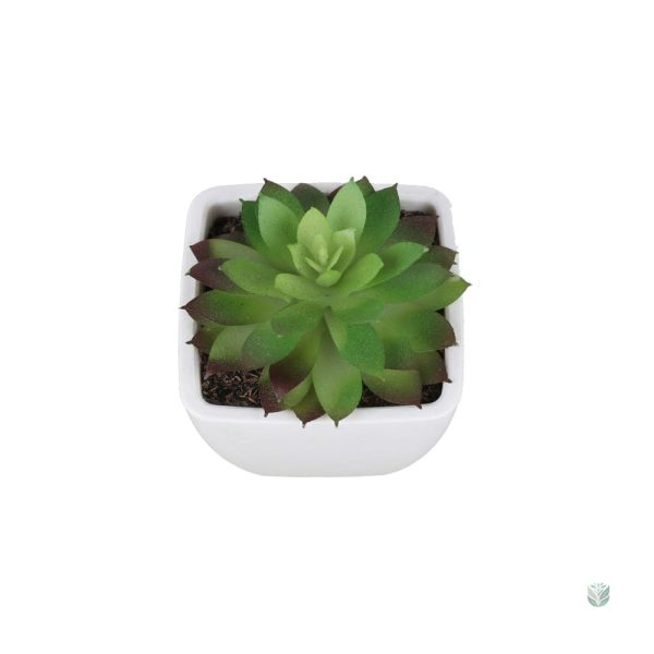 Faux cactus vert, entretien facile et durable