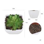Arrangement de succulentes artificielles pour bureau