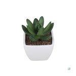 Plantes artificielles vertes, style minimaliste