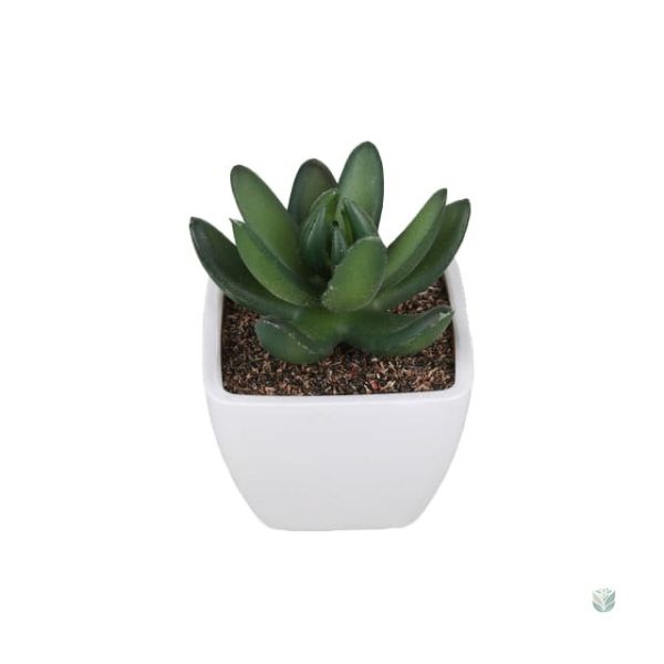 Plantes artificielles vertes, style minimaliste